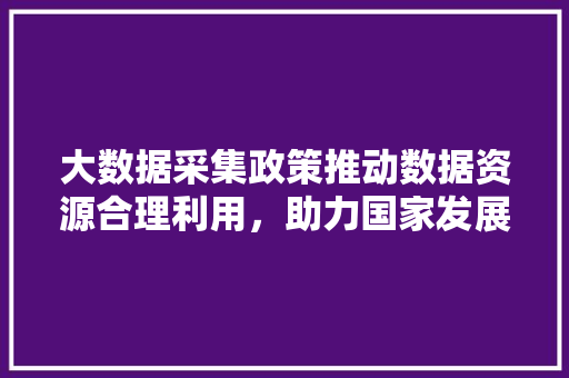 大数据采集政策推动数据资源合理利用，助力国家发展新格局