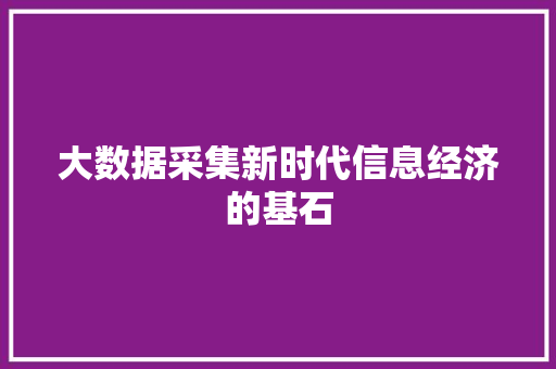大数据采集新时代信息经济的基石