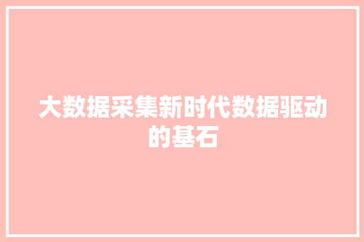 大数据采集新时代数据驱动的基石