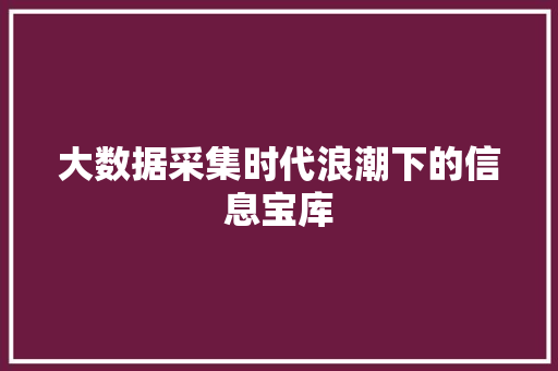 大数据采集时代浪潮下的信息宝库