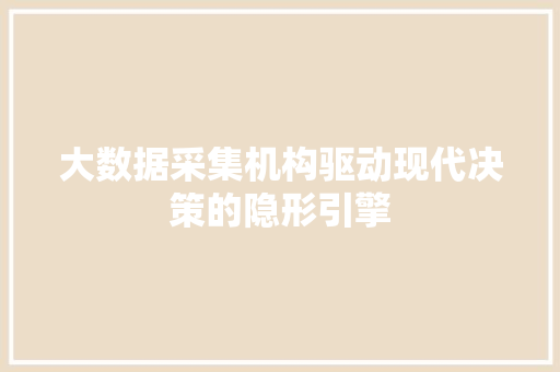 大数据采集机构驱动现代决策的隐形引擎