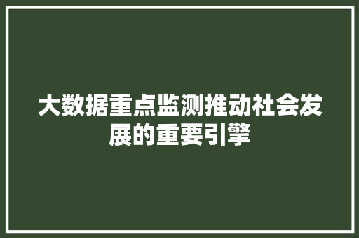 大数据重点监测推动社会发展的重要引擎