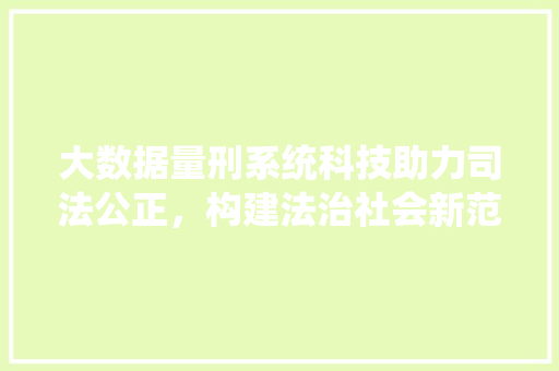 大数据量刑系统科技助力司法公正，构建法治社会新范式