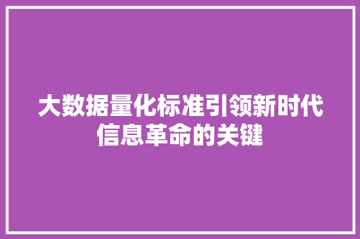 大数据量化标准引领新时代信息革命的关键