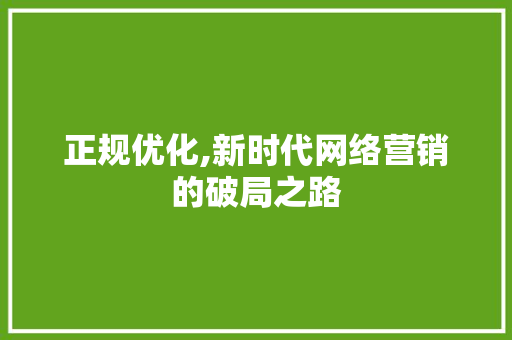 正规优化,新时代网络营销的破局之路