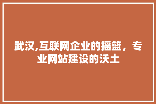 武汉,互联网企业的摇篮，专业网站建设的沃土