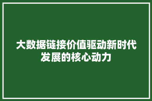 大数据链接价值驱动新时代发展的核心动力