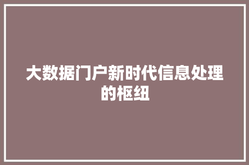 大数据门户新时代信息处理的枢纽