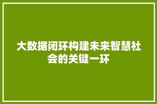 大数据闭环构建未来智慧社会的关键一环