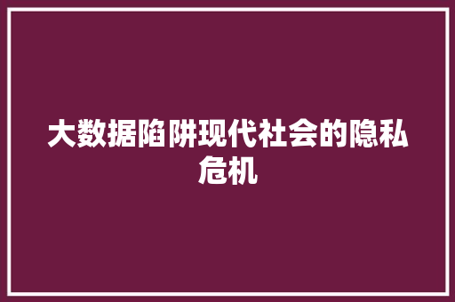 大数据陷阱现代社会的隐私危机