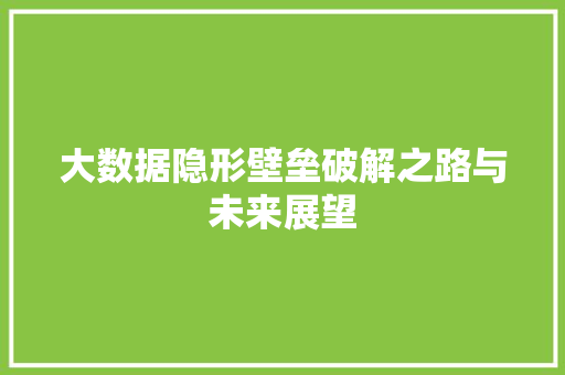 大数据隐形壁垒破解之路与未来展望