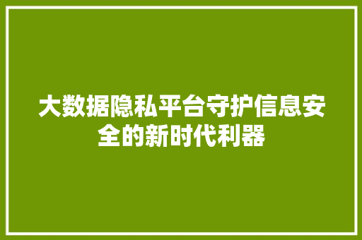 大数据隐私平台守护信息安全的新时代利器