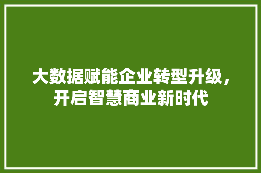 大数据赋能企业转型升级，开启智慧商业新时代