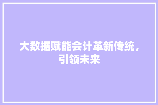 大数据赋能会计革新传统，引领未来