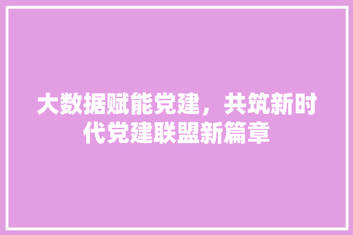 大数据赋能党建，共筑新时代党建联盟新篇章