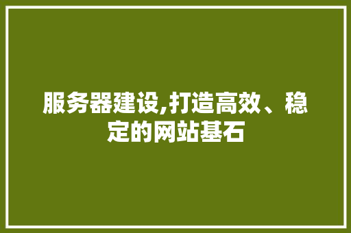 服务器建设,打造高效、稳定的网站基石