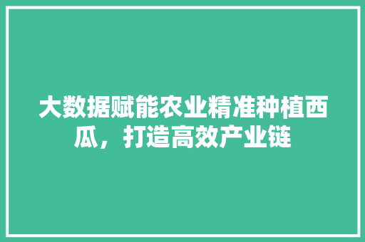 大数据赋能农业精准种植西瓜，打造高效产业链