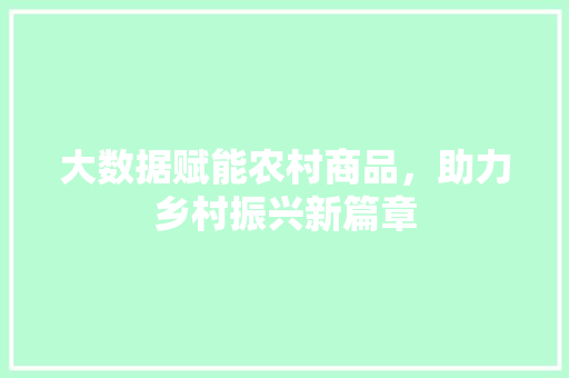 大数据赋能农村商品，助力乡村振兴新篇章