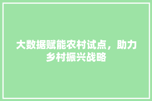 大数据赋能农村试点，助力乡村振兴战略