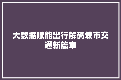 大数据赋能出行解码城市交通新篇章