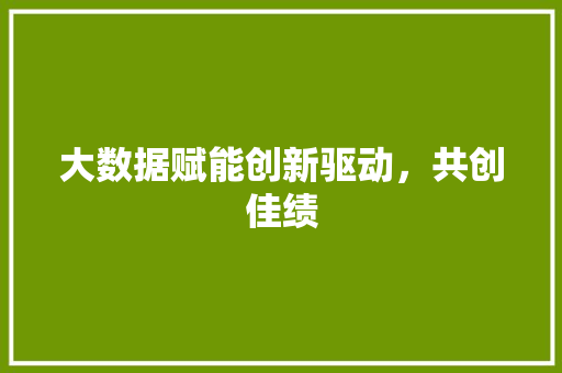 大数据赋能创新驱动，共创佳绩