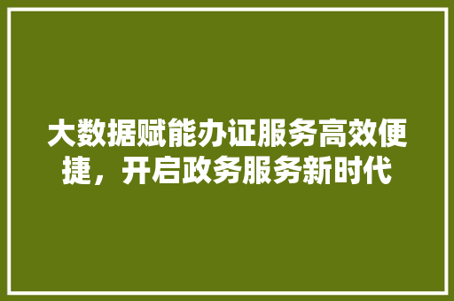 大数据赋能办证服务高效便捷，开启政务服务新时代