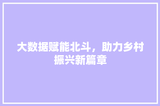 大数据赋能北斗，助力乡村振兴新篇章
