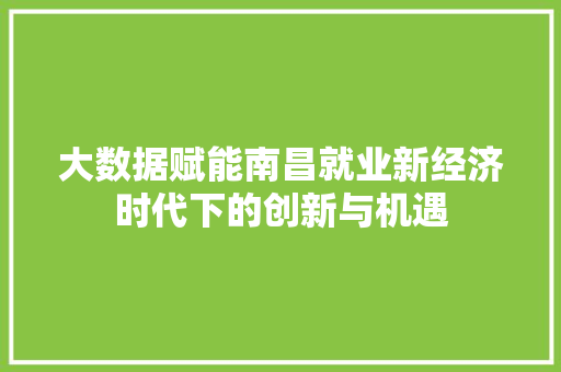 大数据赋能南昌就业新经济时代下的创新与机遇