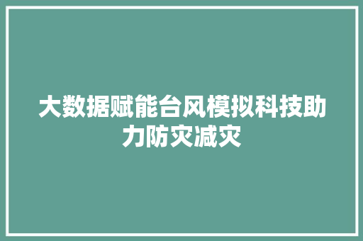 大数据赋能台风模拟科技助力防灾减灾