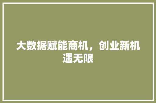 大数据赋能商机，创业新机遇无限