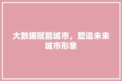大数据赋能城市，塑造未来城市形象