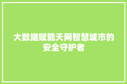 大数据赋能天网智慧城市的安全守护者