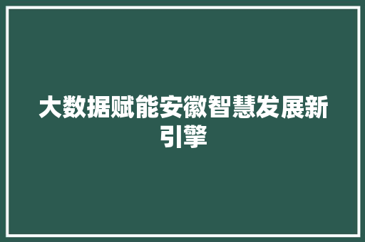 大数据赋能安徽智慧发展新引擎