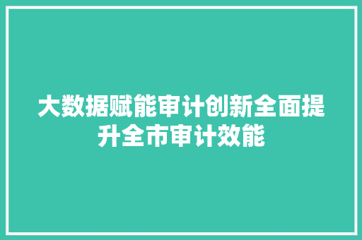 大数据赋能审计创新全面提升全市审计效能