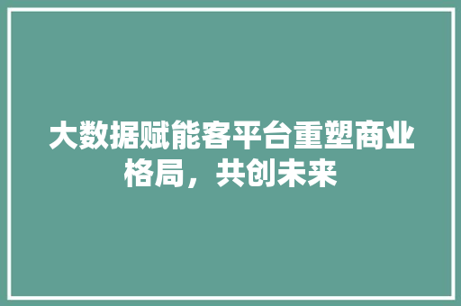 大数据赋能客平台重塑商业格局，共创未来