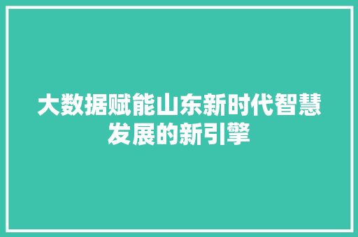 大数据赋能山东新时代智慧发展的新引擎
