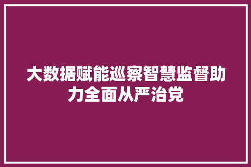 大数据赋能巡察智慧监督助力全面从严治党
