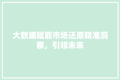 大数据赋能市场还原精准洞察，引领未来