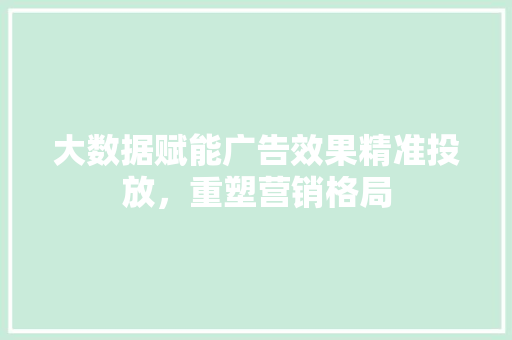 大数据赋能广告效果精准投放，重塑营销格局