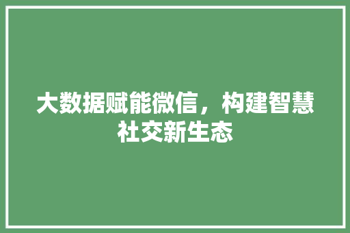 大数据赋能微信，构建智慧社交新生态