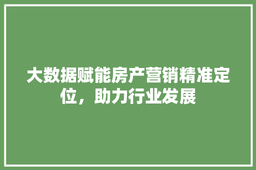 大数据赋能房产营销精准定位，助力行业发展