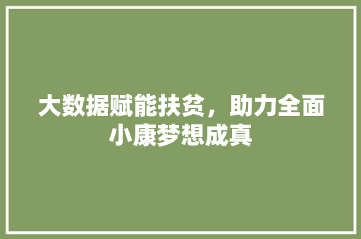 大数据赋能扶贫，助力全面小康梦想成真