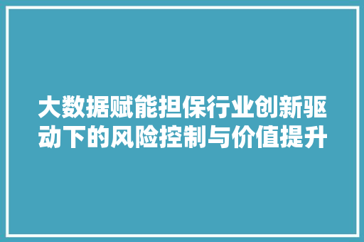 大数据赋能担保行业创新驱动下的风险控制与价值提升