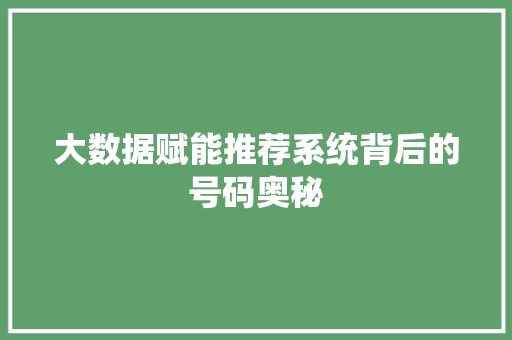 大数据赋能推荐系统背后的号码奥秘