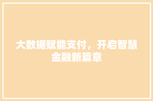 大数据赋能支付，开启智慧金融新篇章