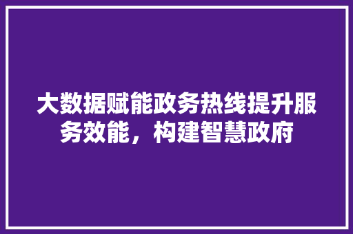 大数据赋能政务热线提升服务效能，构建智慧政府 服务器/数据库