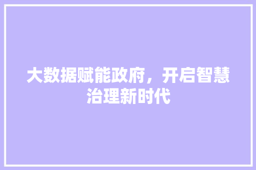 大数据赋能政府，开启智慧治理新时代 服务器/数据库