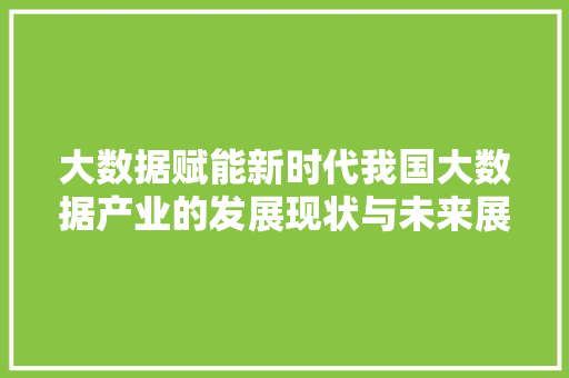 大数据赋能新时代我国大数据产业的发展现状与未来展望