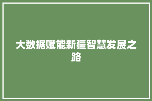 大数据赋能新疆智慧发展之路