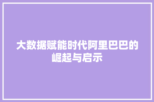 大数据赋能时代阿里巴巴的崛起与启示